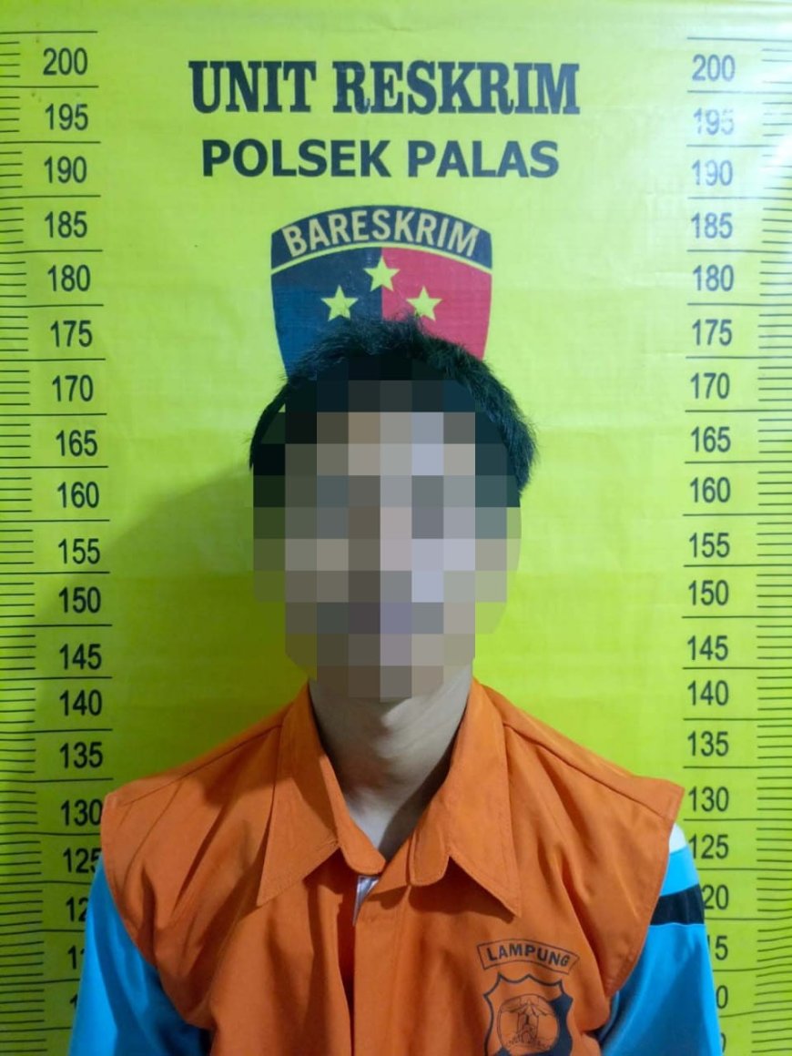 Satu DPO, Satunya Ketangkap Penggelapan Ranmor