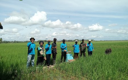 BUMDes Amanah Kampoeng Satoe Kedaung, Bergerak di Bidang Pertanian