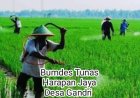Sempat Vakum, BUMDes Desa Gandri Kini Mulai Berkembang