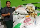BUMDES Mekar Maju Mandiri Desa Mekar Mulya Siap Jadi Percontohan Ketahanan Pangan di Lamsel