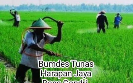 Sempat Vakum, BUMDes Desa Gandri Kini Mulai Berkembang