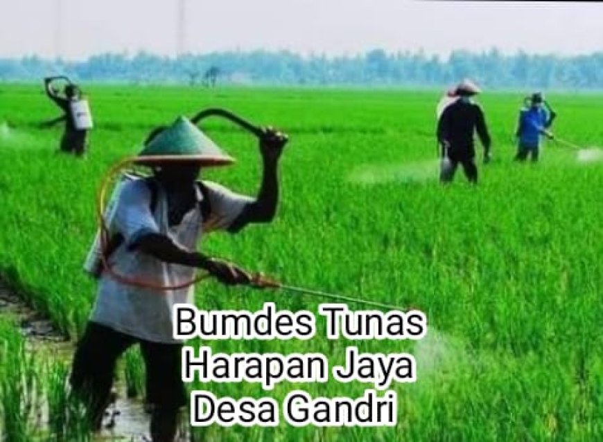 Sempat Vakum, BUMDes Desa Gandri Kini Mulai Berkembang